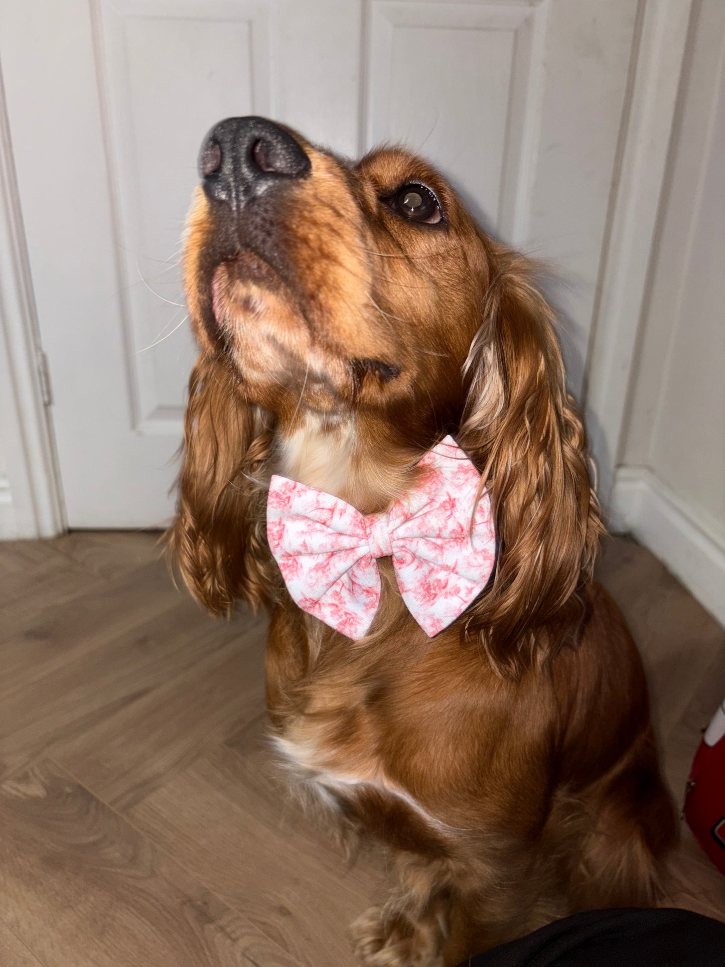 PREORDER Red Toile Christmas Dog/Cat Collar Bow