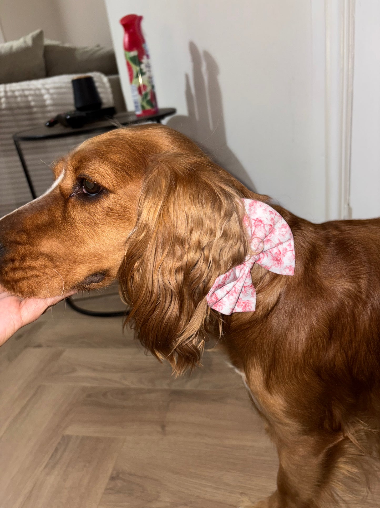 PREORDER Red Toile Christmas Dog/Cat Collar Bow