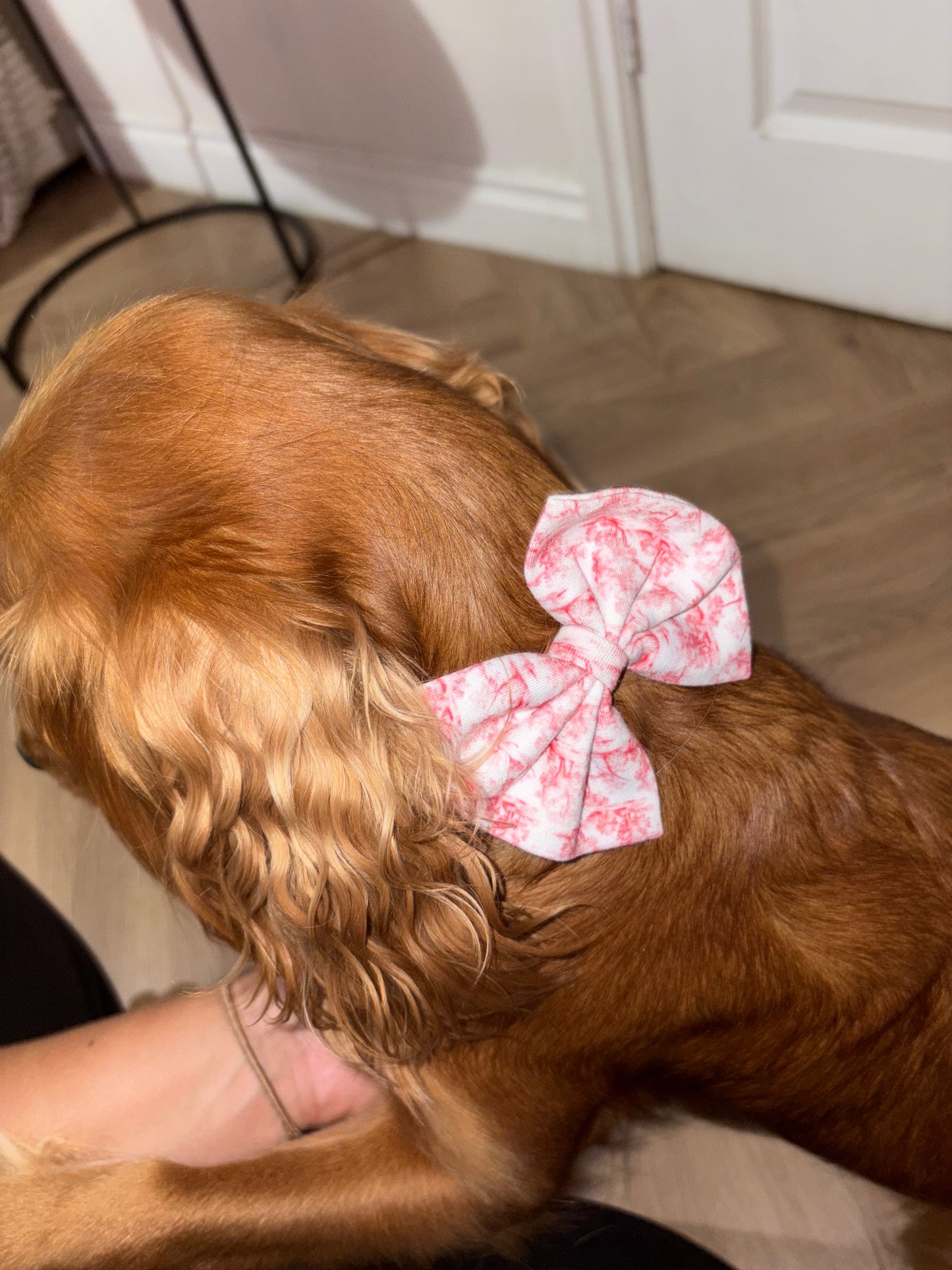 PREORDER Red Toile Christmas Dog/Cat Collar Bow